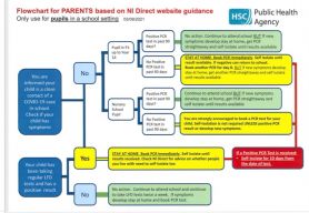 PHA Flowchart For Parents