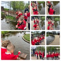 🦅🦆P1/2 Trip to Castle Espie 🦆🦅🐛🐜