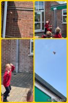 🦋 P1/2 Butterfly Release 🦋