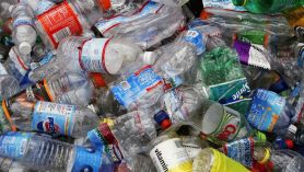 Save your plastic bottles!